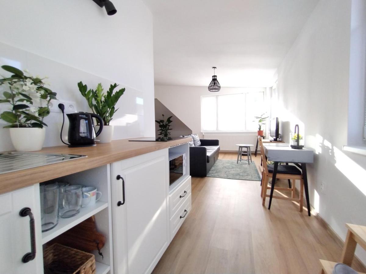 Attic Apartment Catnip Bratislava Dış mekan fotoğraf